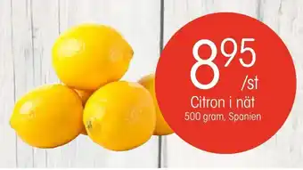EKO Citron i nät 500 gram erbjuda