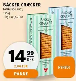 Scandinavian Park Bäcker cräcker erbjuda
