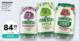 Scandinavian Park Somersby erbjuda