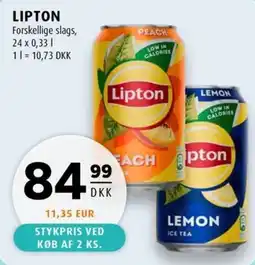 Scandinavian Park Lipton forskellige slags erbjuda
