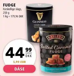 Scandinavian Park Fudge erbjuda