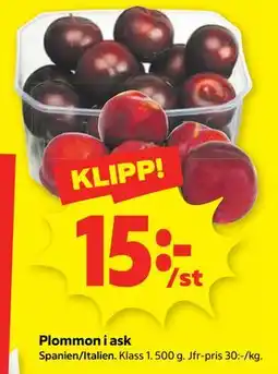 Stora Coop Plommon i ask erbjuda