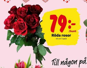 City Gross Röda rosor erbjuda
