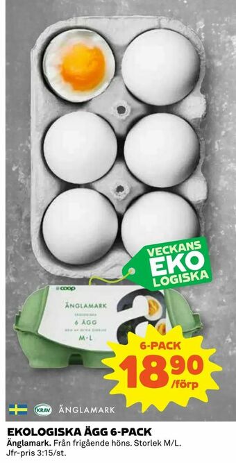 Coop Daglivs Ekologiska ägg 6-pack erbjuda