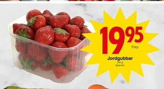 Matöppet Jordgubbar erbjuda