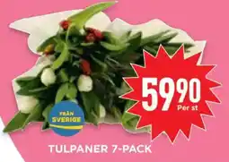 Willys Tulpaner erbjuda