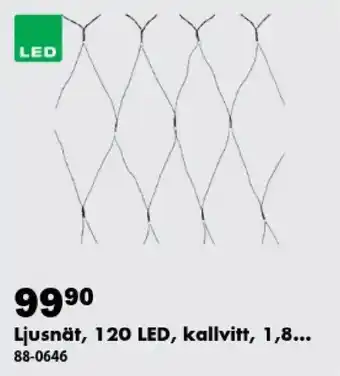 Ljusnät, 120 LED, kallvitt