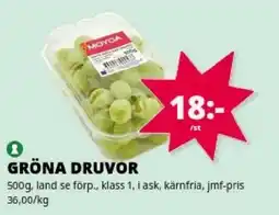 Tempo Moyca gröna druvor erbjuda