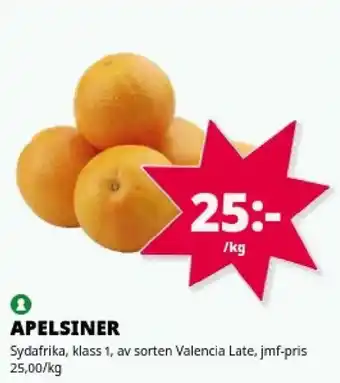 Apelsiner