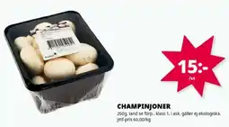 Tempo Champinjoner erbjuda