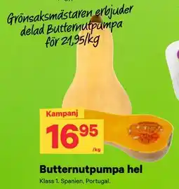 City Gross Butternutpumpa hel erbjuda
