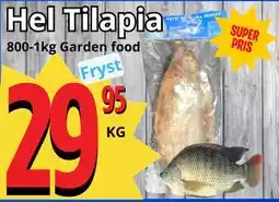 Supergrossen Hel Tilapia erbjuda