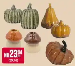 ÖoB Pumpkin & Gourd Decor erbjuda