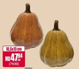 ÖoB Pumpkin erbjuda