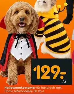 Rusta Halloweenkostymer erbjuda