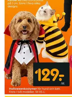 Rusta Halloweenkostymer erbjuda