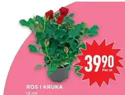 Willys Hemma ROS I KRUKA erbjuda