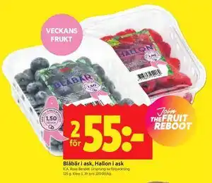 Blåbär i ask, Hallon i ask