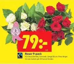ICA Kvantum Rosor 9-pack erbjuda