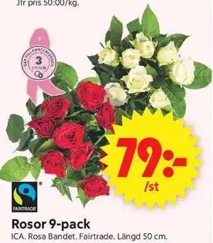 Rosor 9-pack