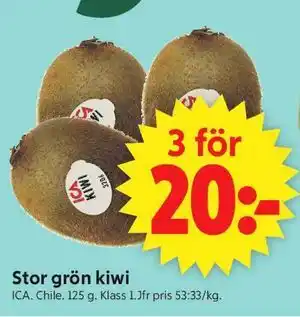 Stor grön kiwi