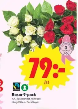 ICA Nära Rosor 9-pack erbjuda