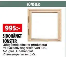 Bauhaus SIDOHÄNGT FÖNSTER erbjuda
