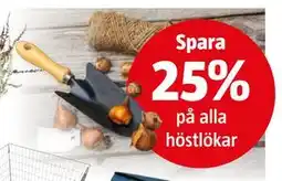 Bauhaus Spara 25% på alla höstlökar erbjuda