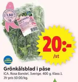 ICA Supermarket Ica grönkålsblad erbjuda