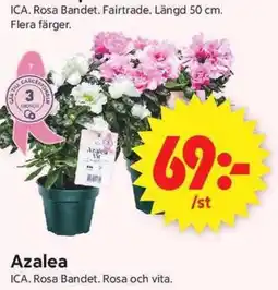 ICA Supermarket Ica azalea erbjuda