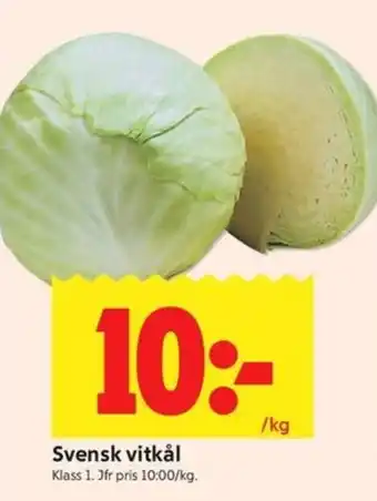 Vitkål