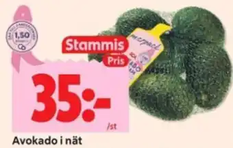 Stammis Avokado i nät