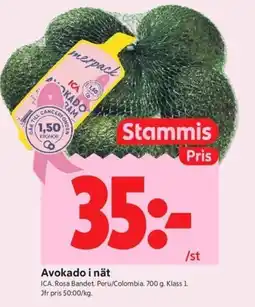 ICA Kvantum Avokado i nät erbjuda