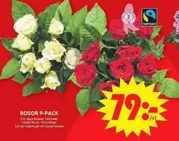 ICA Maxi Ica rosor 9-pack erbjuda