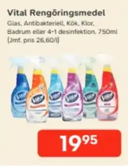 Bo Ohlsson Vital rengöringsmedel erbjuda