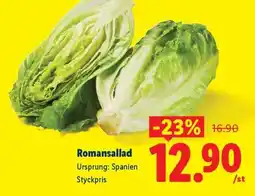 Lidl Romansallad erbjuda