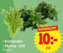 Nya Pulsen Koriander Mynta Dill erbjuda