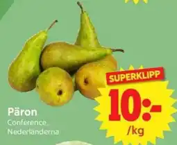 Nya Pulsen Päron Conference, Nederländerna erbjuda