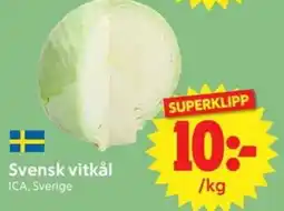 Nya Pulsen Vitkål erbjuda