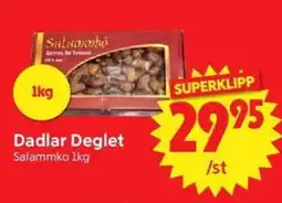 Nya Pulsen Salammbô Dadlar Deglet erbjuda