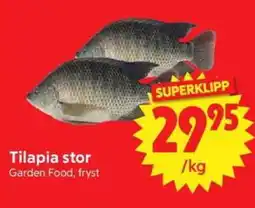 Nya Pulsen Tilapia stor erbjuda