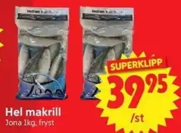 Nya Pulsen Indian makrill erbjuda