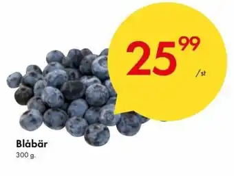 Snabbgross Blåbär 300g erbjuda