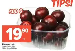 Coop Extra Plommon i ask erbjuda
