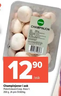 Coop Extra Champinjoner i ask erbjuda