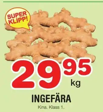 Ingefära