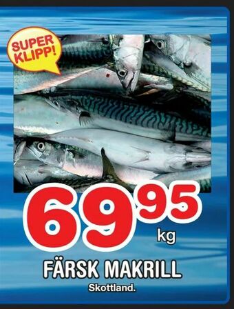 Nya Pulsen Färsk makrill erbjuda