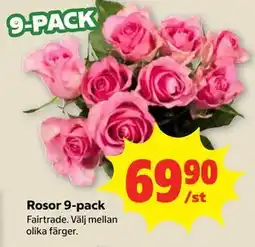 Stora Coop Rosor 9-pack erbjuda