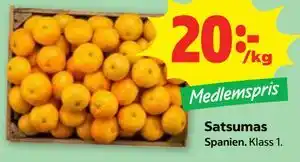 Satsumas, Medlemspris