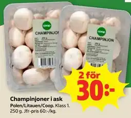 Stora Coop Champinjoner i ask erbjuda